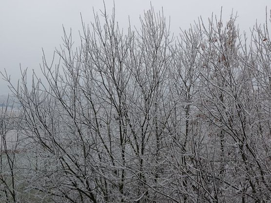 Start in den Advent (Foto: Karl-Heinz Herrmann) Start in den Advent (Foto: Karl-Heinz Herrmann)