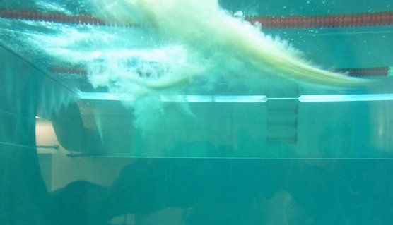 Kreisjugendspiele Schwimmen (Foto: Karl-Heinz Herrmann)