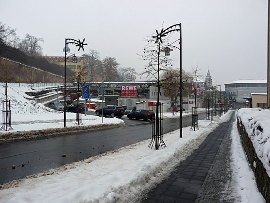 Schlange (Foto: Karl-Heinz Herrmann)