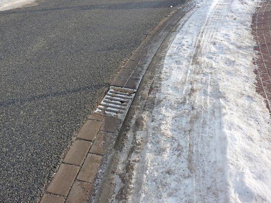 Gullysuche (Foto: Karl-Heinz Herrmann)