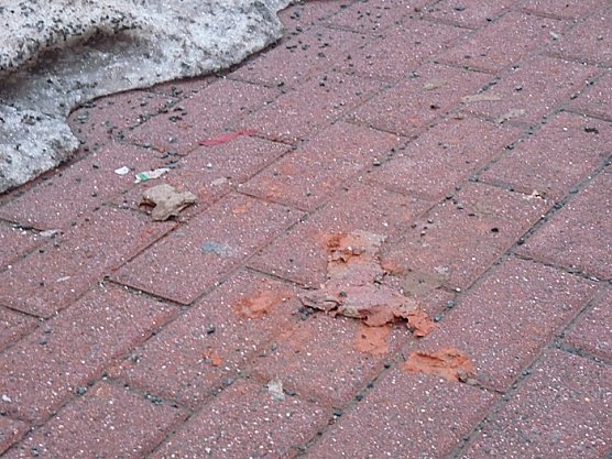 Die verminte Stadt (Foto: Karl-Heinz Herrmann)