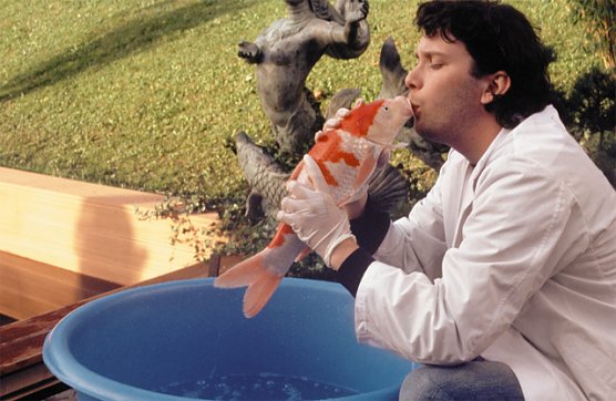Neues aus dem Stuki 76 (Foto: Panoramamuseum Bad Frankenhausen)
