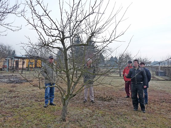 Baumschnittseminar (Foto: Karl-Heinz Herrmann)
