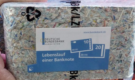 Rosensonntagsumzug (Foto: Karl-Heinz Herrmann)