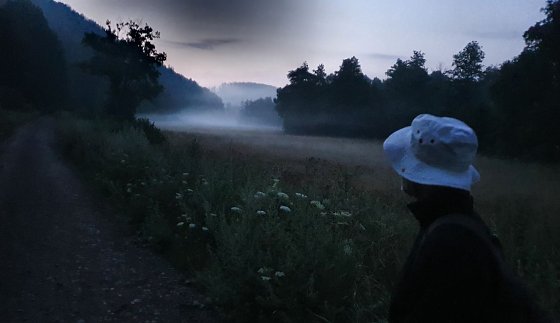 Bild: Christian Richter aus Jena bewundert den Morgennebel im Tal zwischen Wippertalsperre und Wippra nach knapp 120 Kilometern am dritten Tag des 16. Harz-Hunderters Extrem. Neun Stunden sp&auml;ter hat der Extremwanderer den Harz zum zweiten Mal in West-Ost-Richtung am St&uuml;ck durchquert.