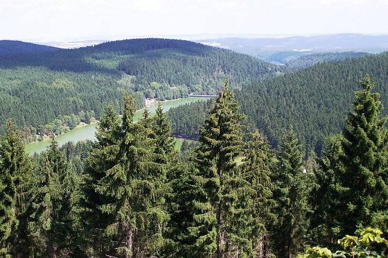 Bild: 
