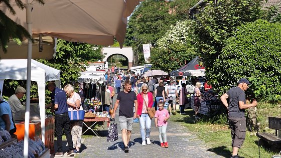 Bild: 