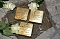 Stolpersteine verlegt