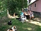 4-Pfoten Hundeclub aktiv 4-Pfoten Hundeclub aktiv