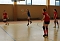Neues vom Volleyball