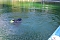 Taucher im Schwimmbad im Einsatz