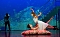 "Sternstunden" des Balletts