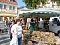 Planzenmarkt in Sondershausen