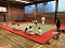 Judo Safari der TSG Salza