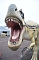 Dinosaurier-Ausstellung