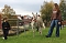 Unterwegs mit den Unstrut Lamas aus Herbsleben