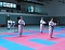 Karate-Meisterschaft Karate-Meisterschaft