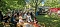Das Straßenfest der Kindervilla in Bad Frankenhausen wurde zum Wiesenfest Das Straßenfest der Kindervilla in Bad Frankenhausen wurde zum Wiesenfest