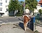 Pferd in der Stadt