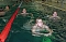 24 Stunden Schwimmen begonnen