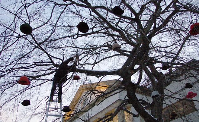 Bild: Hut am Baum