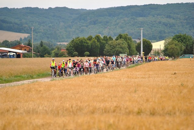 Bild: Gem&uuml;tlich mit der Familie auf dem Rad unterwegs - am 05. Juli steht wieder die gro&szlig;e Familienradtour an