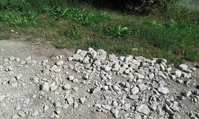 Bild: Rund um Sondershausen meiden