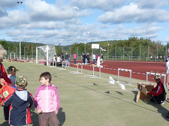 Bild: 4. St&auml;dte-Marathon in Sondershausen