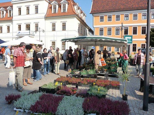 Bild: Planzenmarkt in Sondershausen