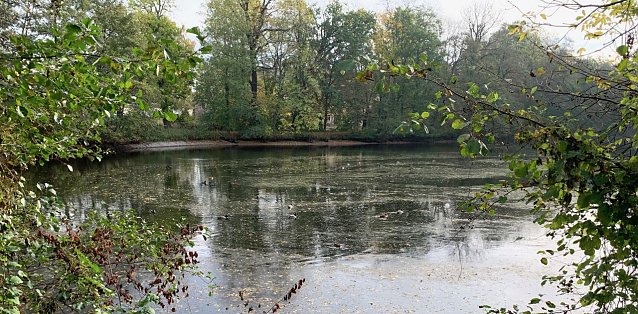 Bild: wetter
