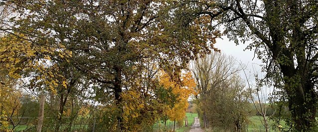 Bild: wetter