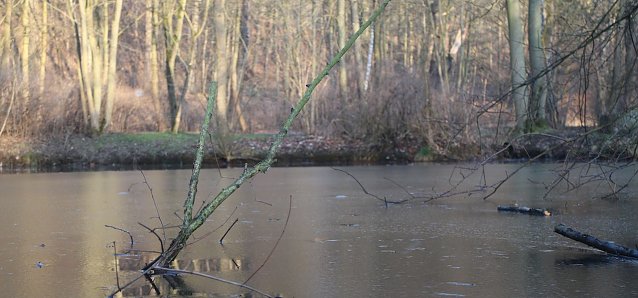 Bild: Wetter