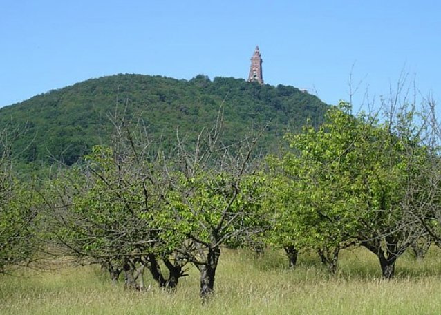 Bild: Mitteldeutsche Kulturstiftung: Kyffh&auml;userdenkmal und K&ouml;nigspfalz einbeziehen?