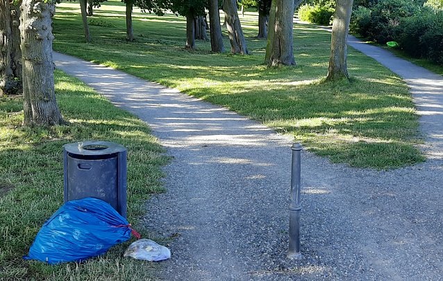 Bild: Keine Ruhe im Schlosspark