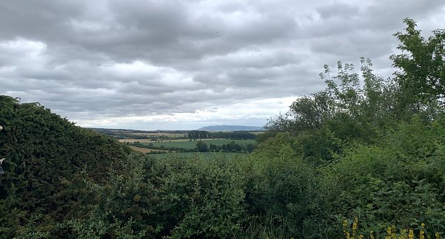 Bild: Blick zum Kyffh&auml;user