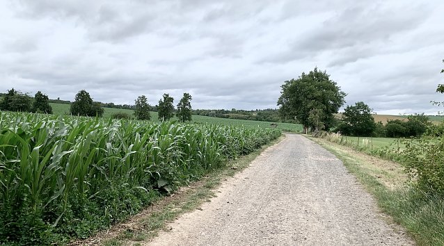 Bild: Nordhausen/Windl&uuml;cke