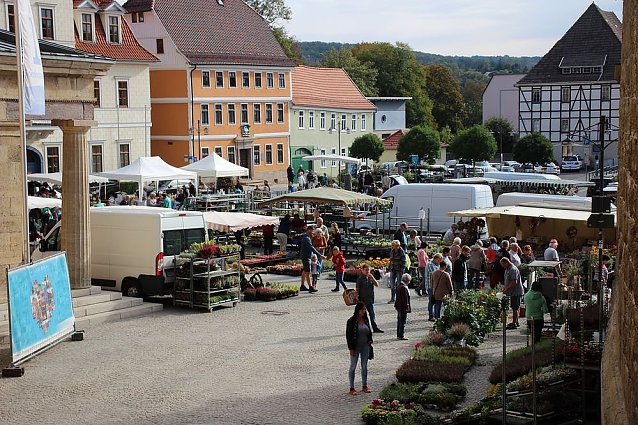 Bild: Auf einer gr&ouml;&szlig;eren Fl&auml;che wird der beliebte Sondersh&auml;user Blumen-, Pflanzen- und Staudenmarkt stattfinden. Kraftfahrer m&uuml;ssen an dem Tag mit Stra&szlig;ensperrung rechnen. Dazu vorab aus der Stadtverwaltung diese Informationen...