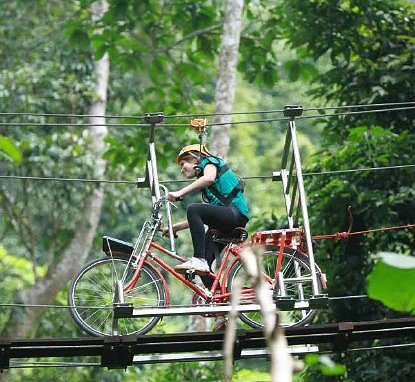 Bild: Fahrrad