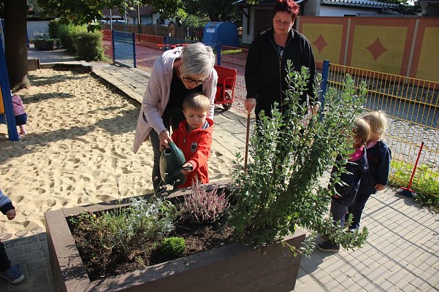 Bild: Herbstputz und Herbstpflanzung in Stocksen