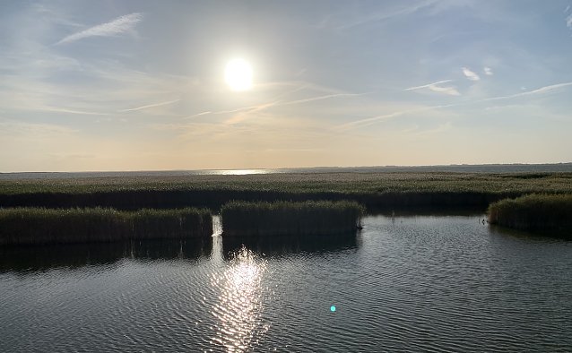 Bild: Sonnenuntergang am Saaler Bodden