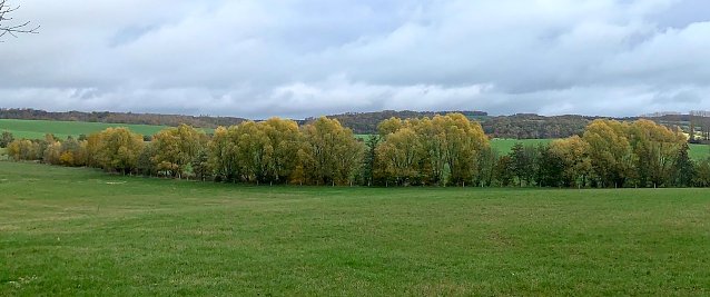 Bild: Herbstlandschaft