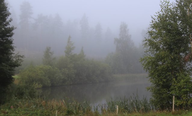 Bild: Teich im schwedischen Humelstadt