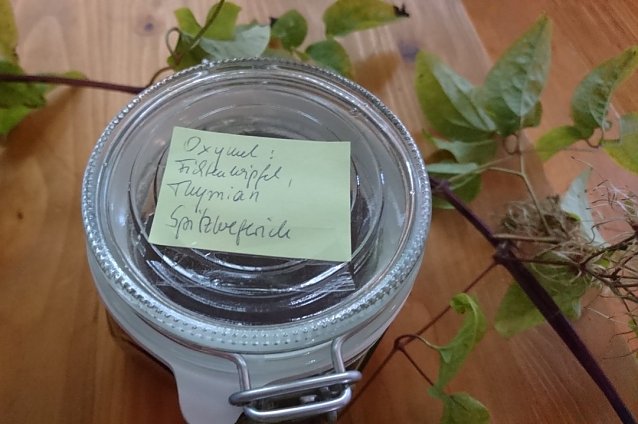 Bild: GESUNDES KOMMUNIKATIVES FR&Uuml;HST&Uuml;CK im HOC