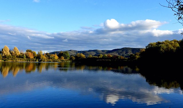 Bild: Goldener Herbst