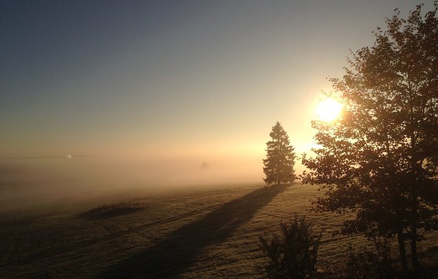Bild: Sonnenaufgang bei Benneckenstein
