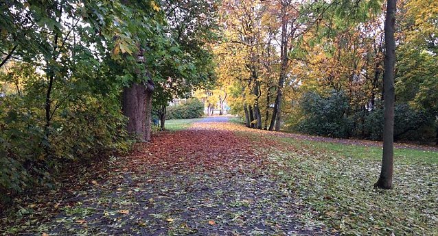 Bild: Im Stadtpark Nordhausen