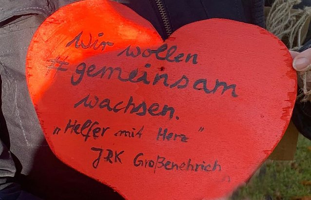 Bild: B&auml;ume gepflanzt
