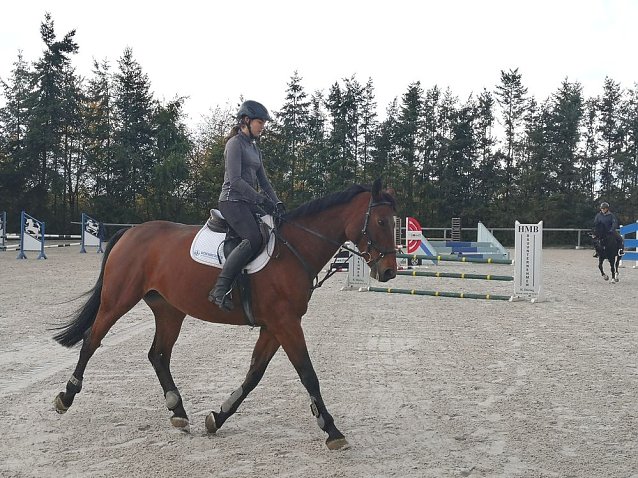 Bild: In Bellstedt Reitplatz saniert und eingeweiht