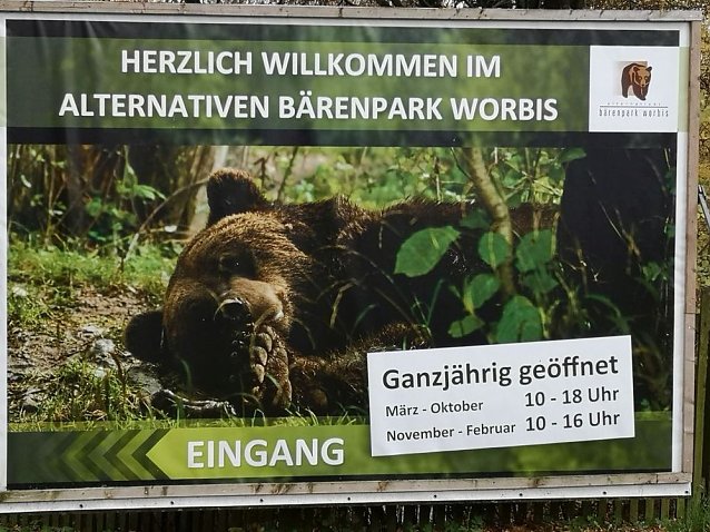Bild: Besuch im Alternativen B&auml;renpark in Worbis