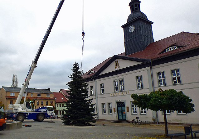 Bild: Weihnachtsmeldungen aktuell